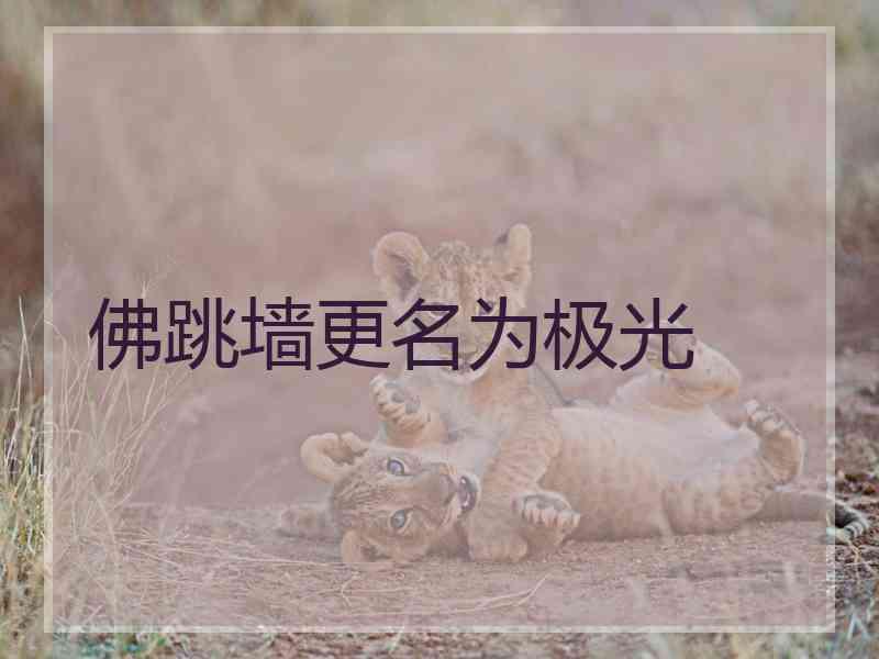 佛跳墙更名为极光