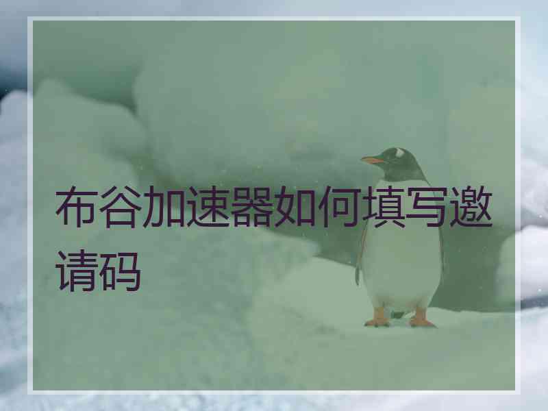 布谷加速器如何填写邀请码