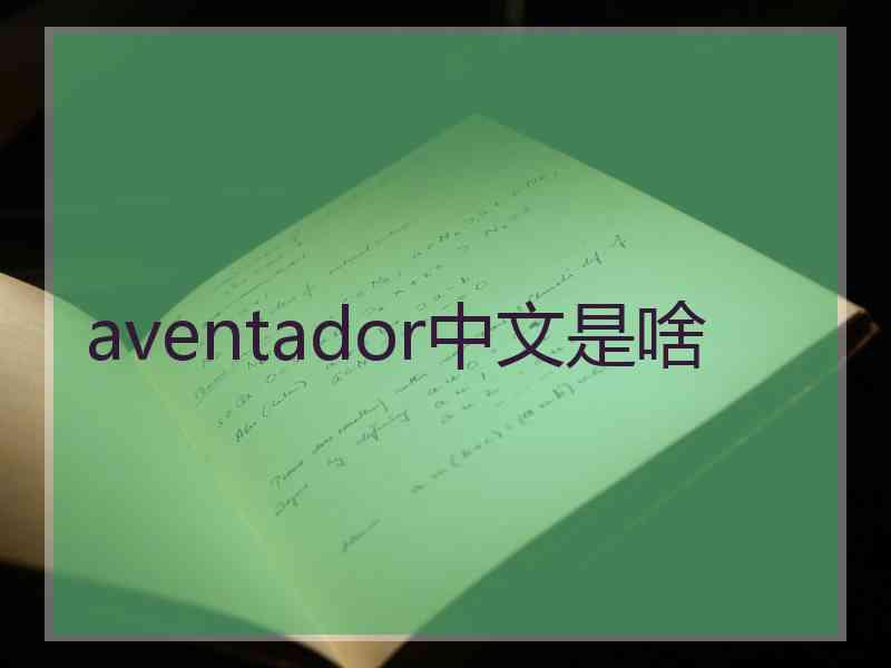 aventador中文是啥