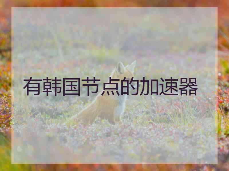 有韩国节点的加速器
