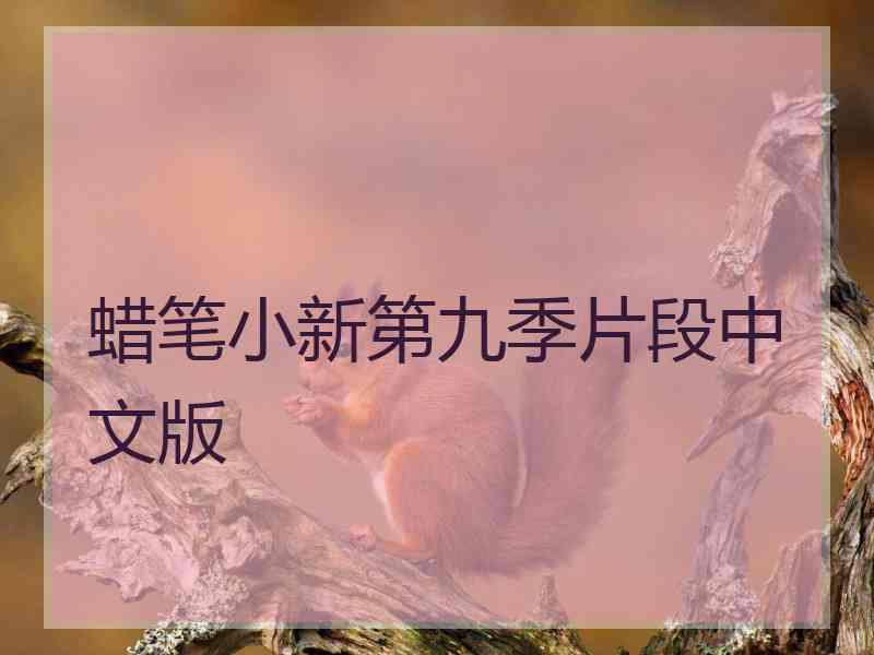 蜡笔小新第九季片段中文版