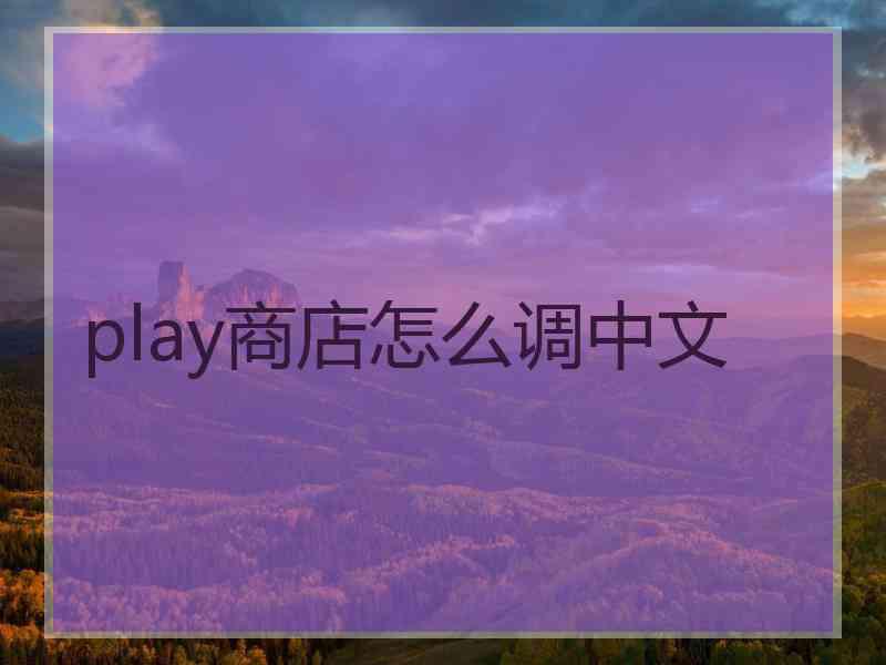 play商店怎么调中文