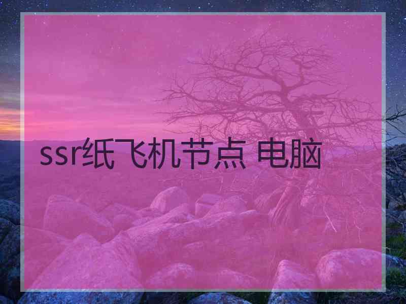 ssr纸飞机节点 电脑