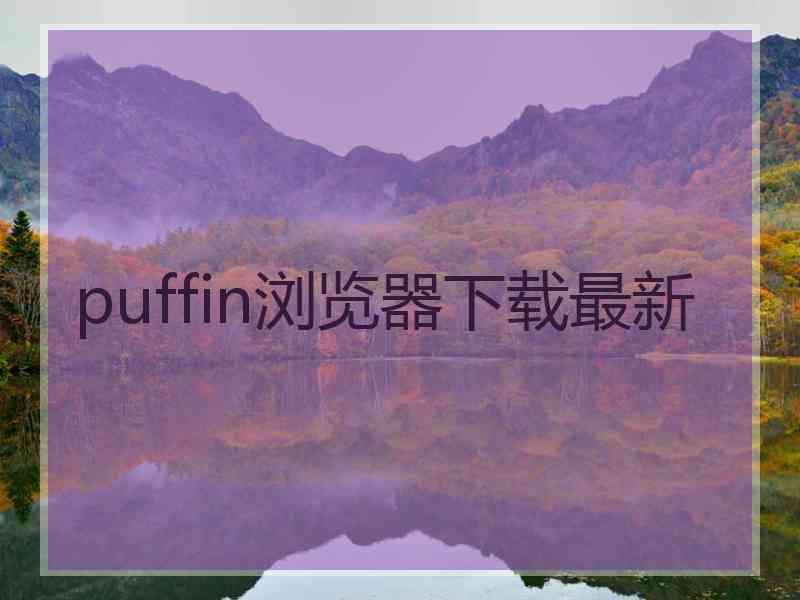 puffin浏览器下载最新