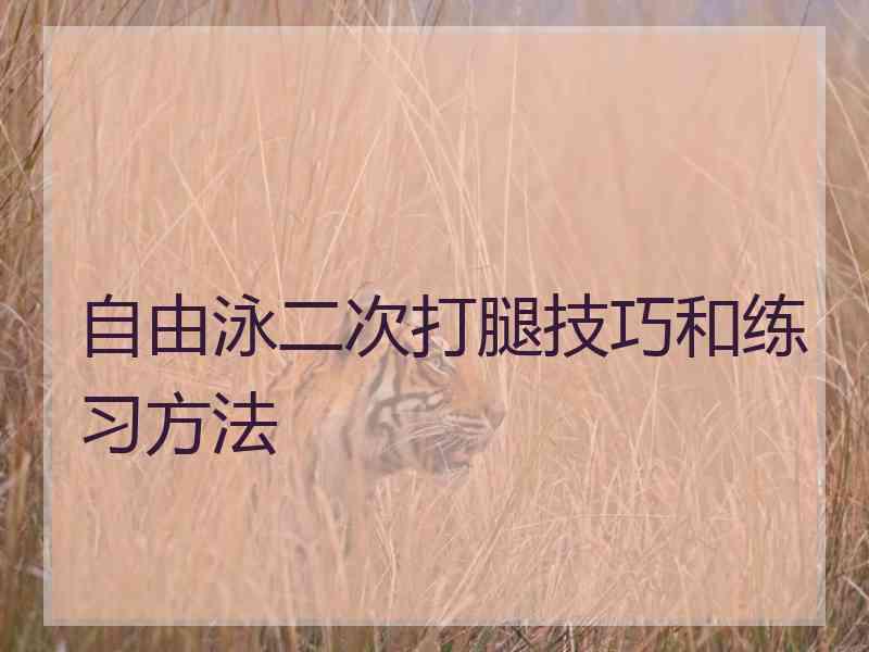 自由泳二次打腿技巧和练习方法