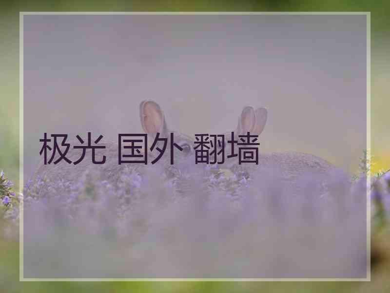极光 国外 翻墙