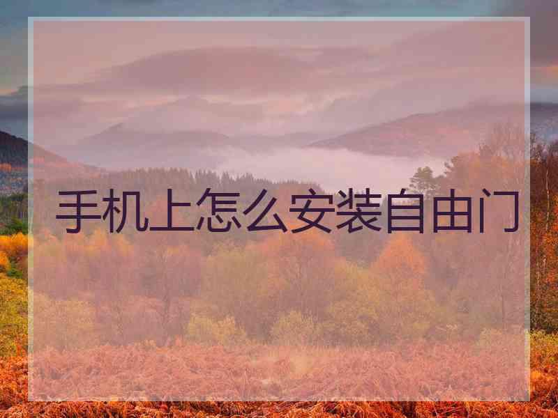 手机上怎么安装自由门