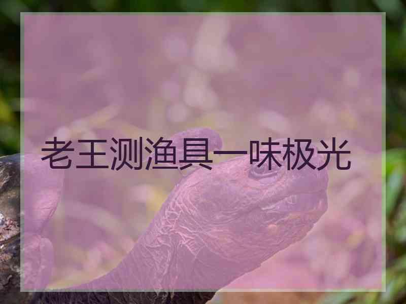 老王测渔具一味极光