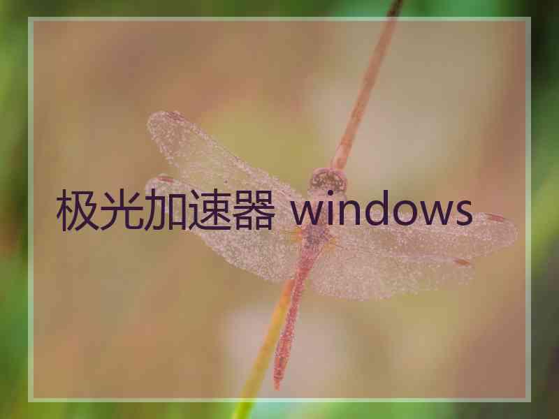 极光加速器 windows