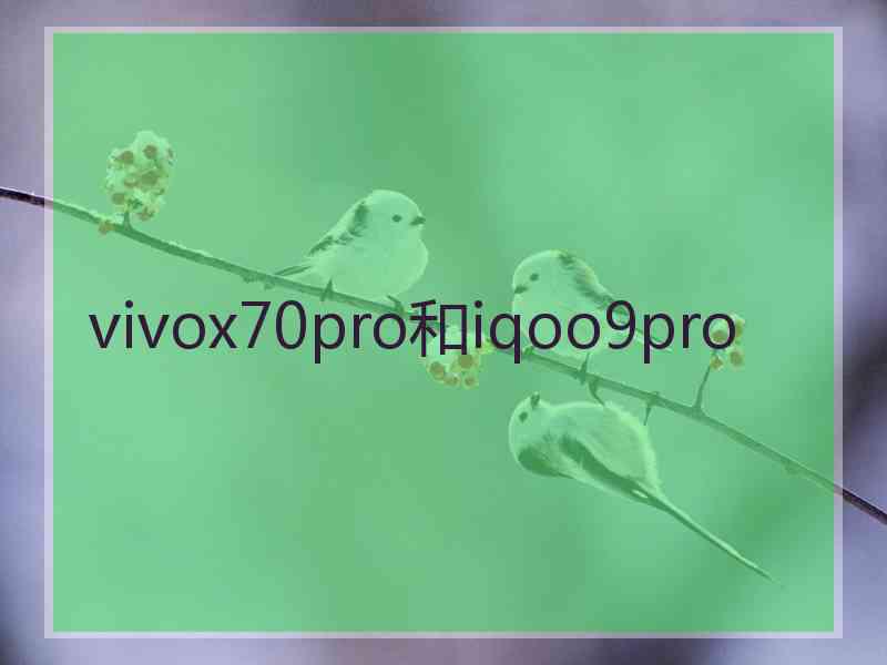 vivox70pro和iqoo9pro
