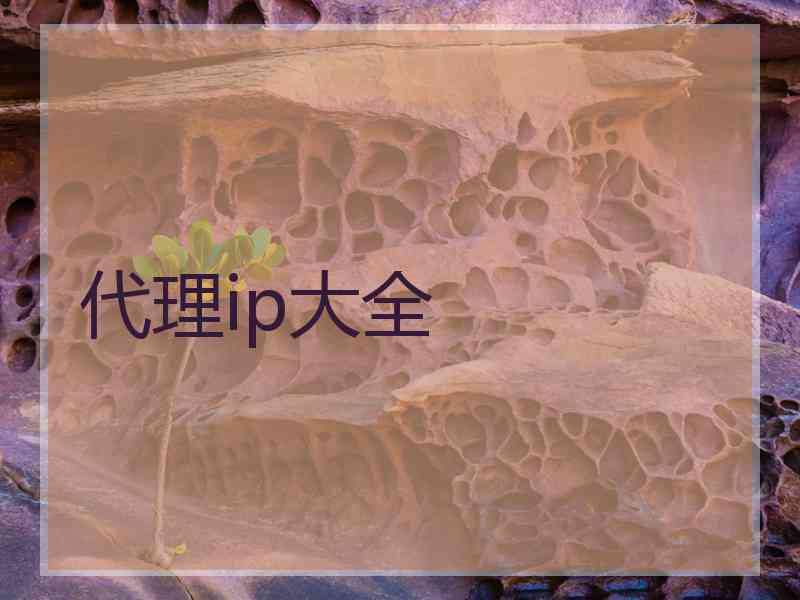代理ip大全