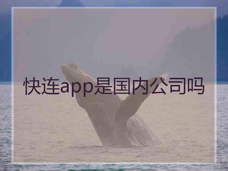 快连app是国内公司吗