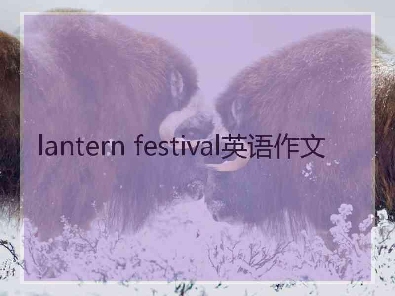 lantern festival英语作文
