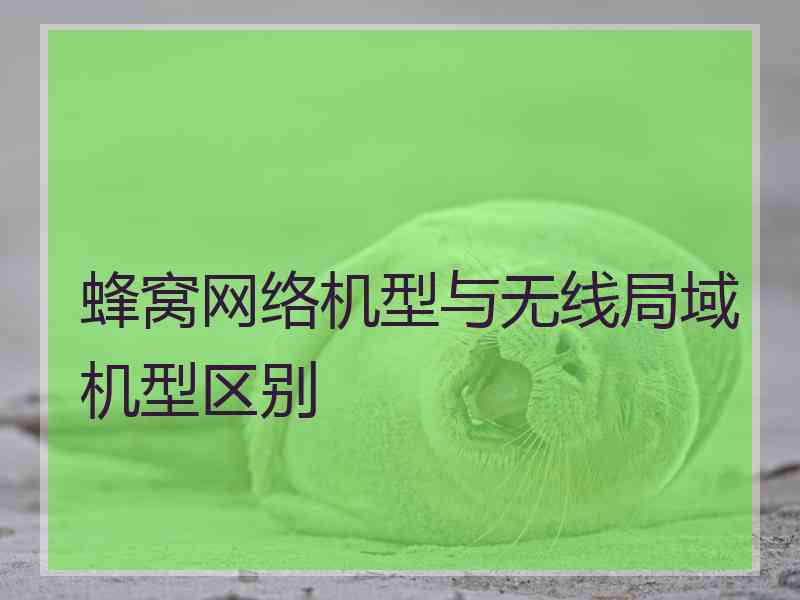 蜂窝网络机型与无线局域机型区别