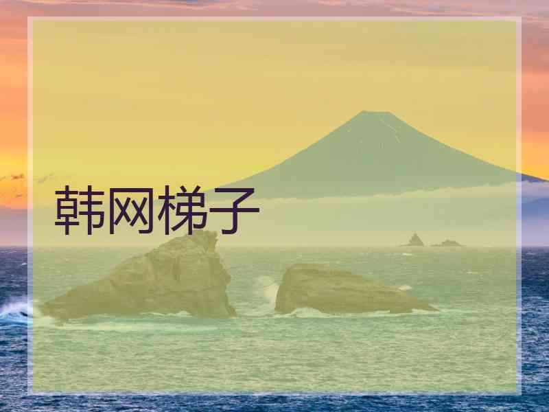 韩网梯子