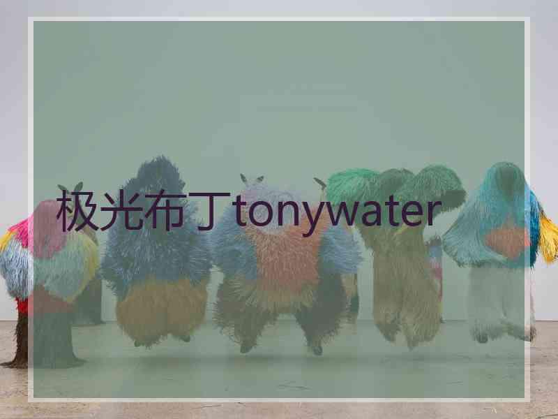 极光布丁tonywater