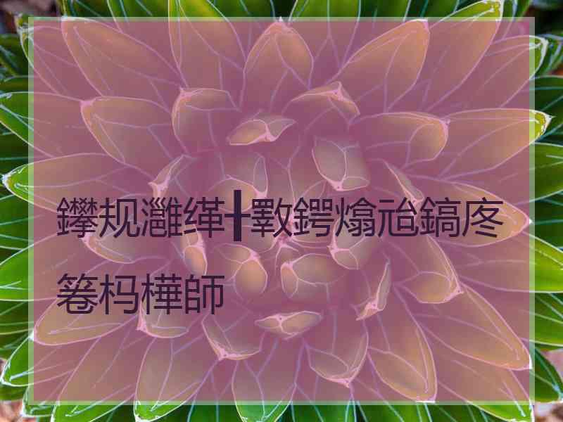 鑻规灉缂╂斁鍔熻兘鎬庝箞杩樺師