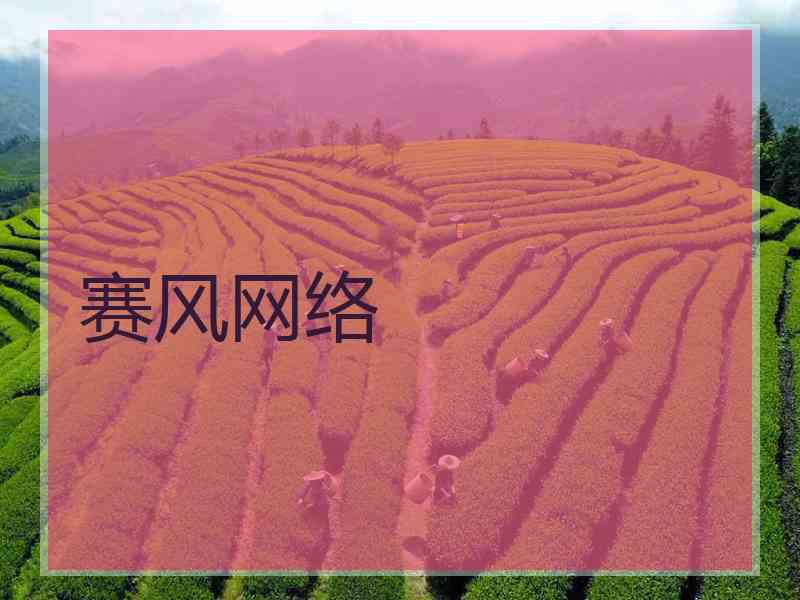 赛风网络