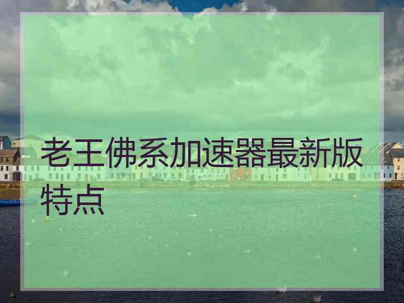 老王佛系加速器最新版特点