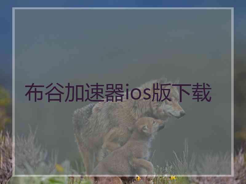 布谷加速器ios版下载