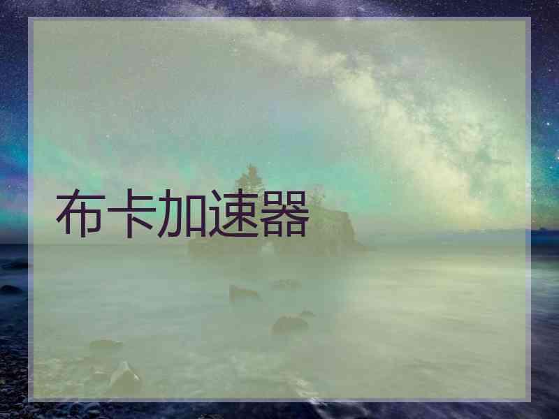 布卡加速器