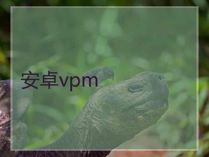 安卓vpm