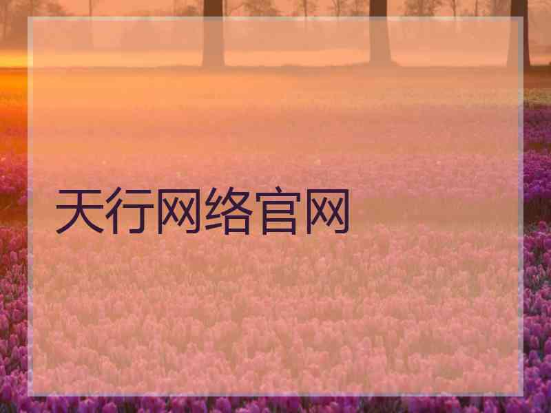 天行网络官网