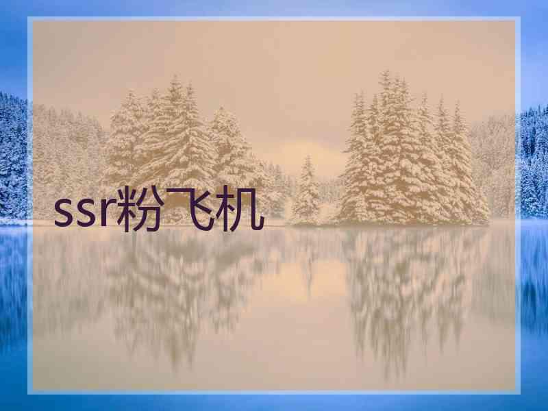 ssr粉飞机