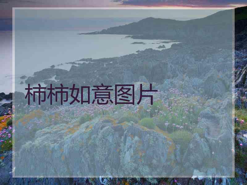 柿柿如意图片