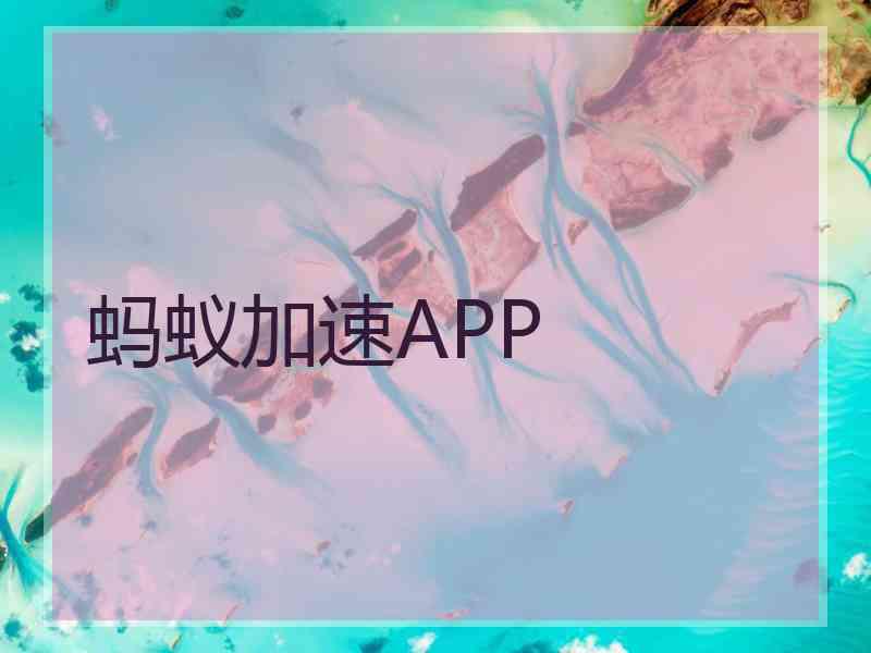 蚂蚁加速APP
