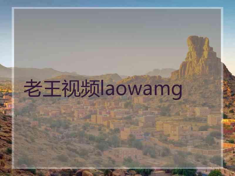 老王视频laowamg