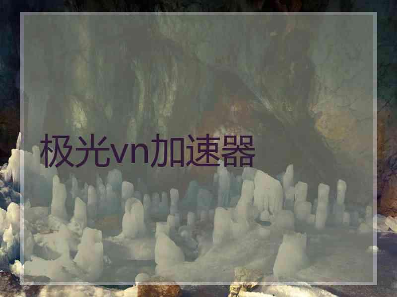 极光vn加速器