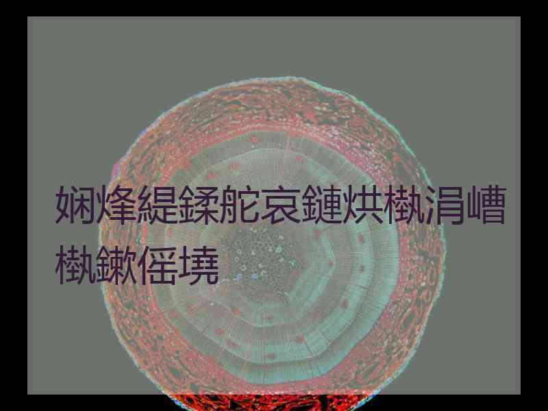 娴烽緹鍒舵哀鏈烘槸涓嶆槸鏉傜墝