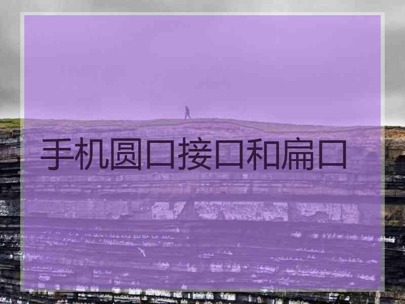 手机圆口接口和扁口