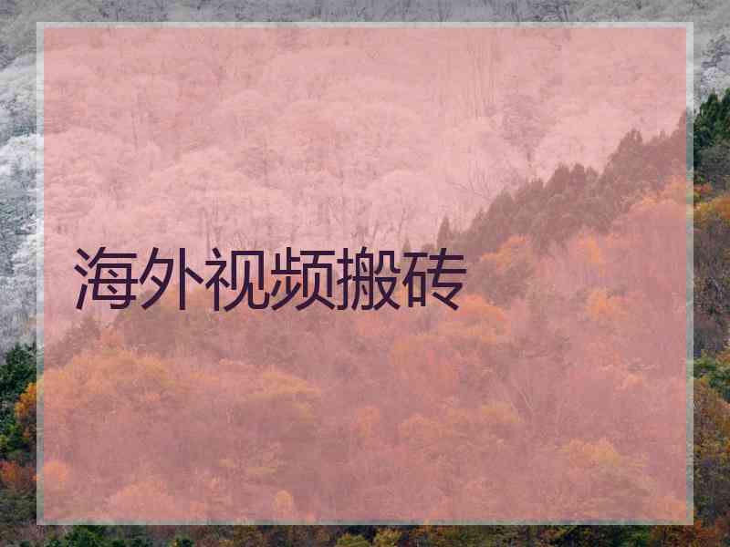 海外视频搬砖