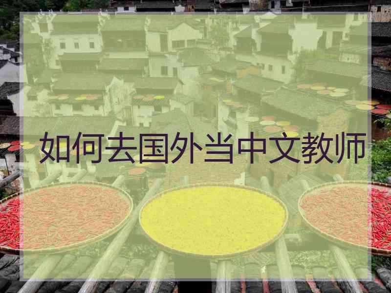 如何去国外当中文教师