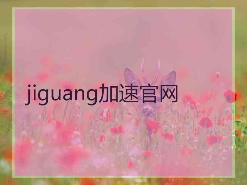 jiguang加速官网