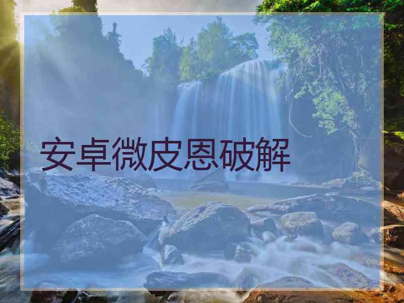 安卓微皮恩破解