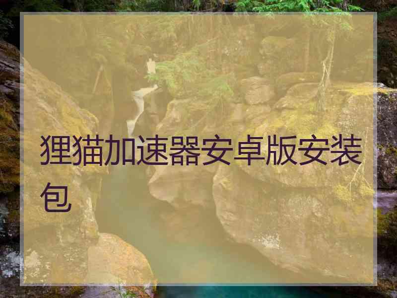 狸猫加速器安卓版安装包