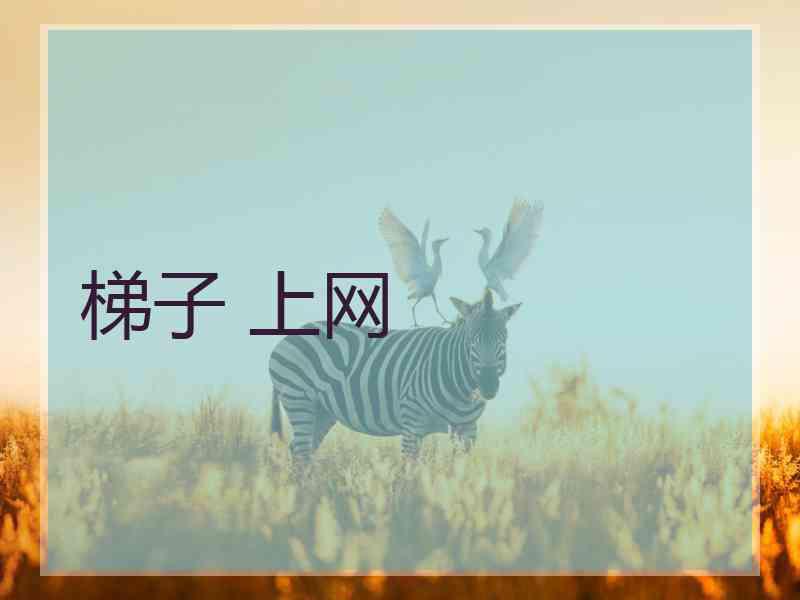 梯子 上网