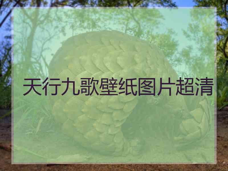 天行九歌壁纸图片超清