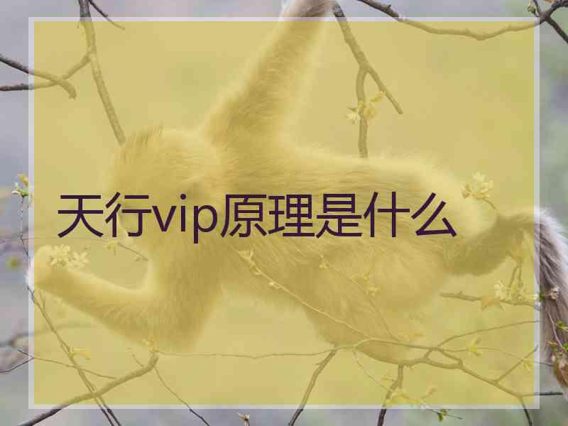 天行vip原理是什么