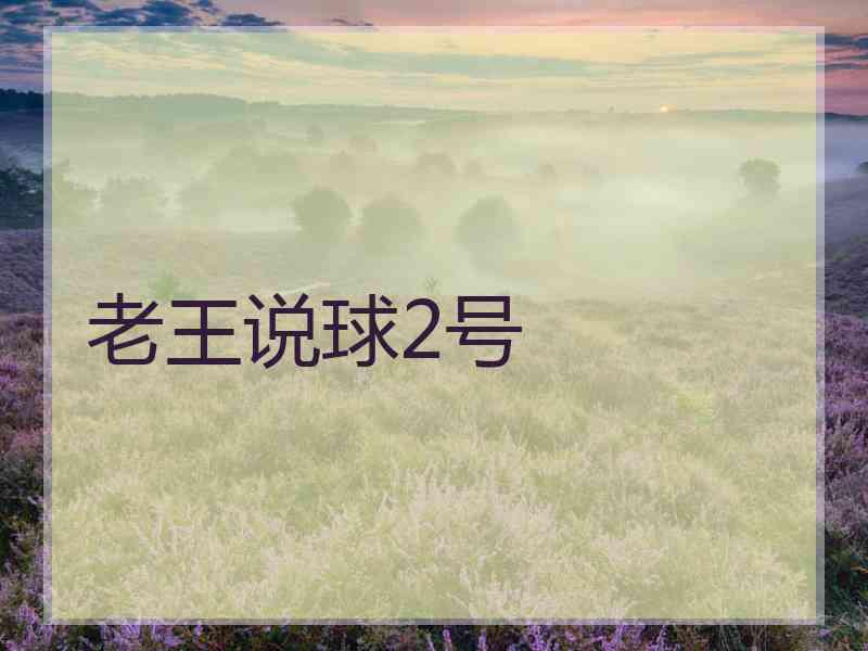 老王说球2号