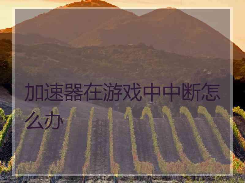 加速器在游戏中中断怎么办