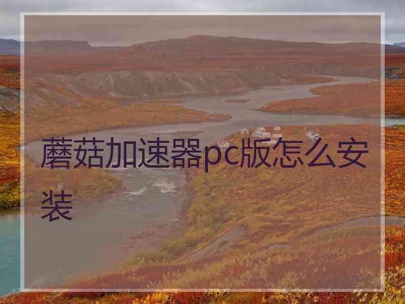 蘑菇加速器pc版怎么安装