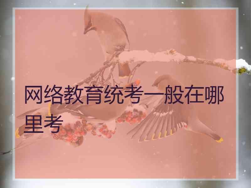 网络教育统考一般在哪里考