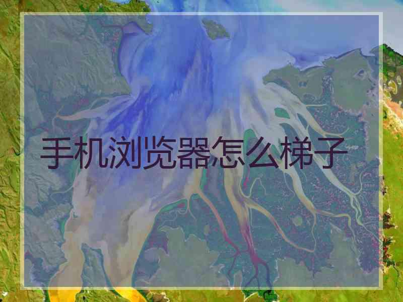 手机浏览器怎么梯子