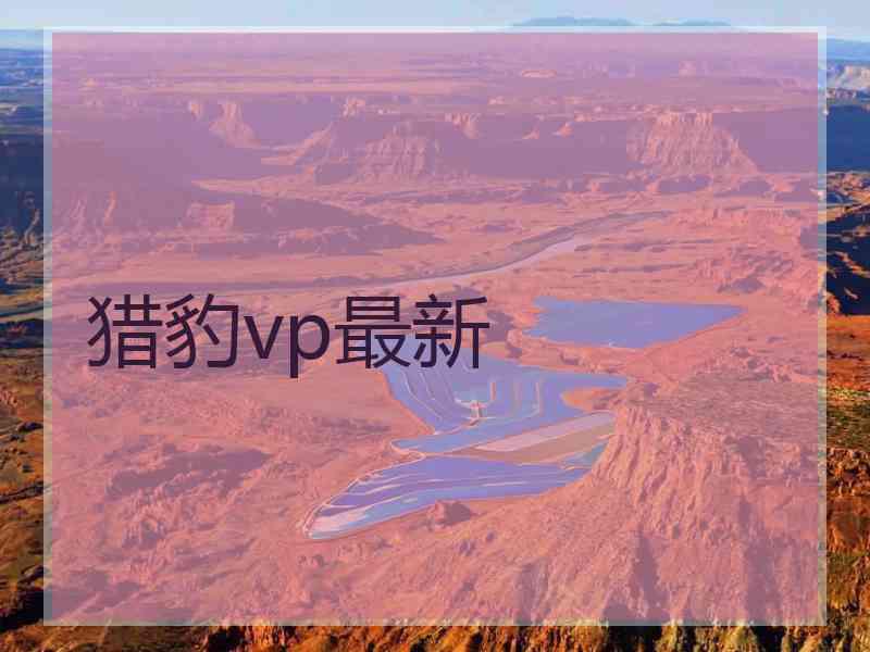 猎豹vp最新