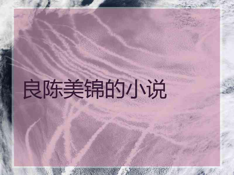 良陈美锦的小说