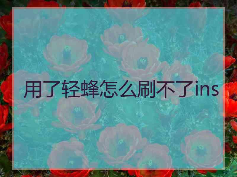 用了轻蜂怎么刷不了ins